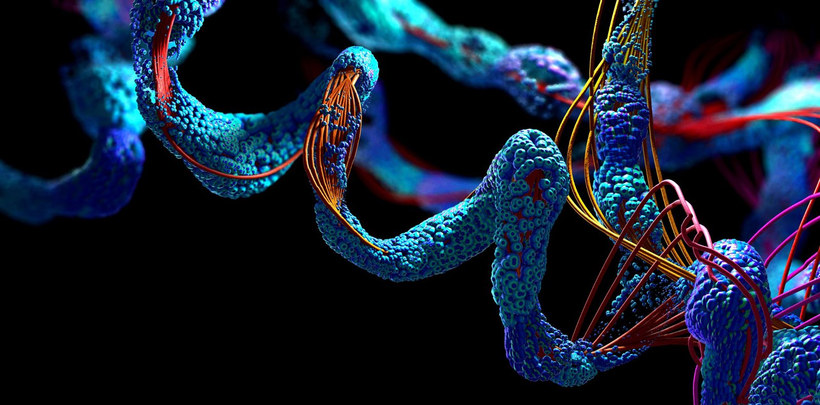The 2024 Nobel Prize in Chemistry: A simple explanation